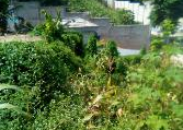 Terre