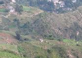 Terre