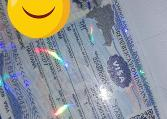 Financial & Legal