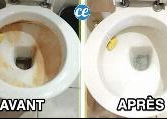 Cleaners & Cleaning