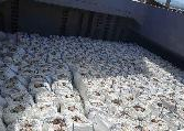 Building Materials & Supplies