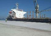Building Materials & Supplies