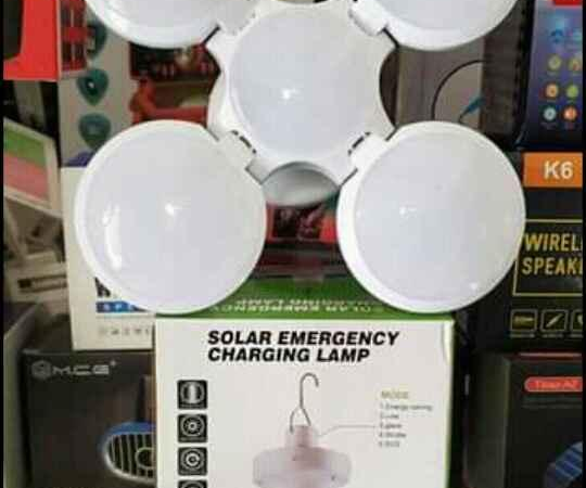 Indoor Lighting & Fans