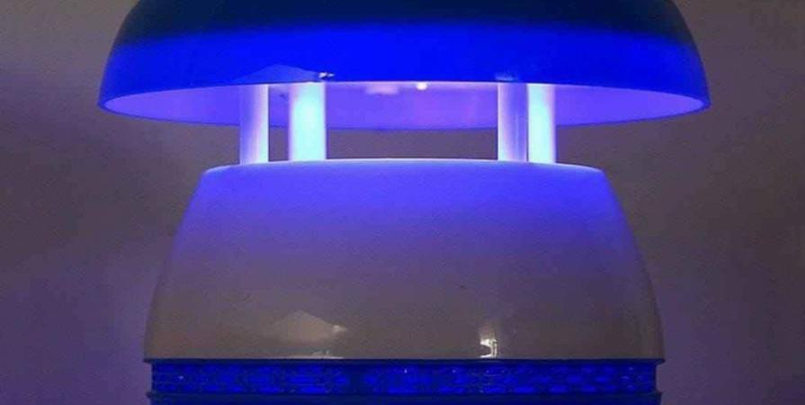 Indoor Lighting & Fans