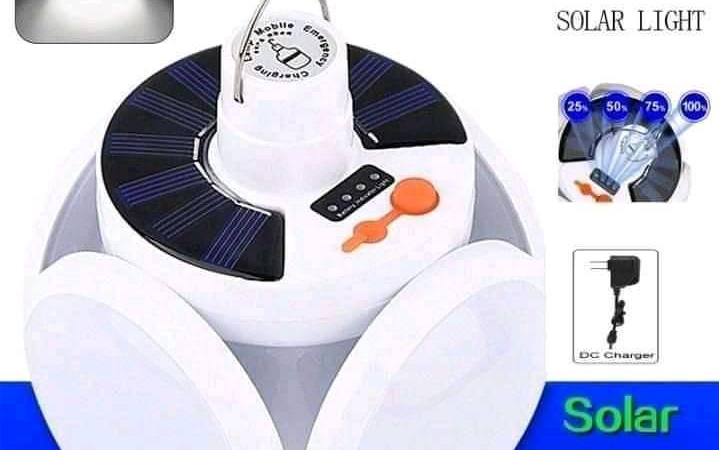 Indoor Lighting & Fans